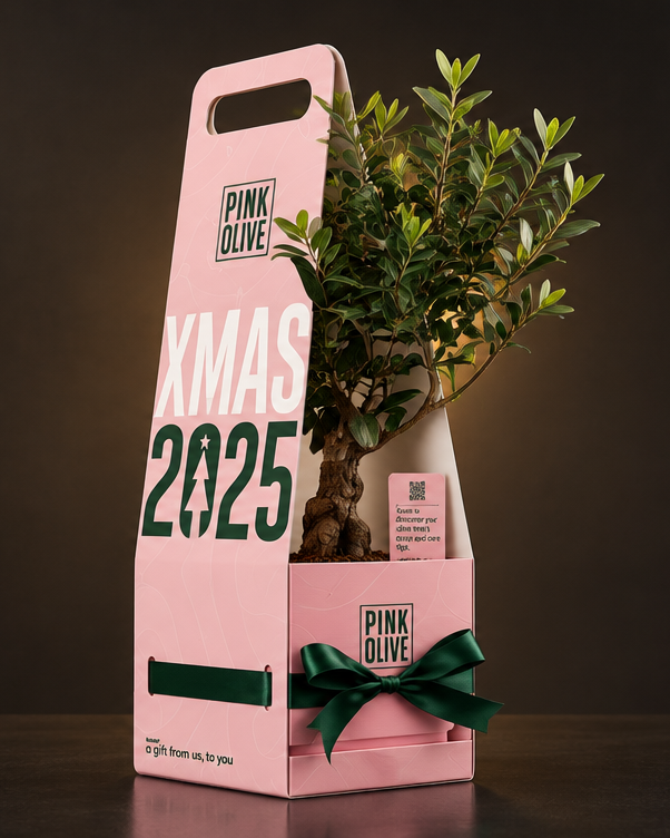 Pink Olive olive tree client gifts