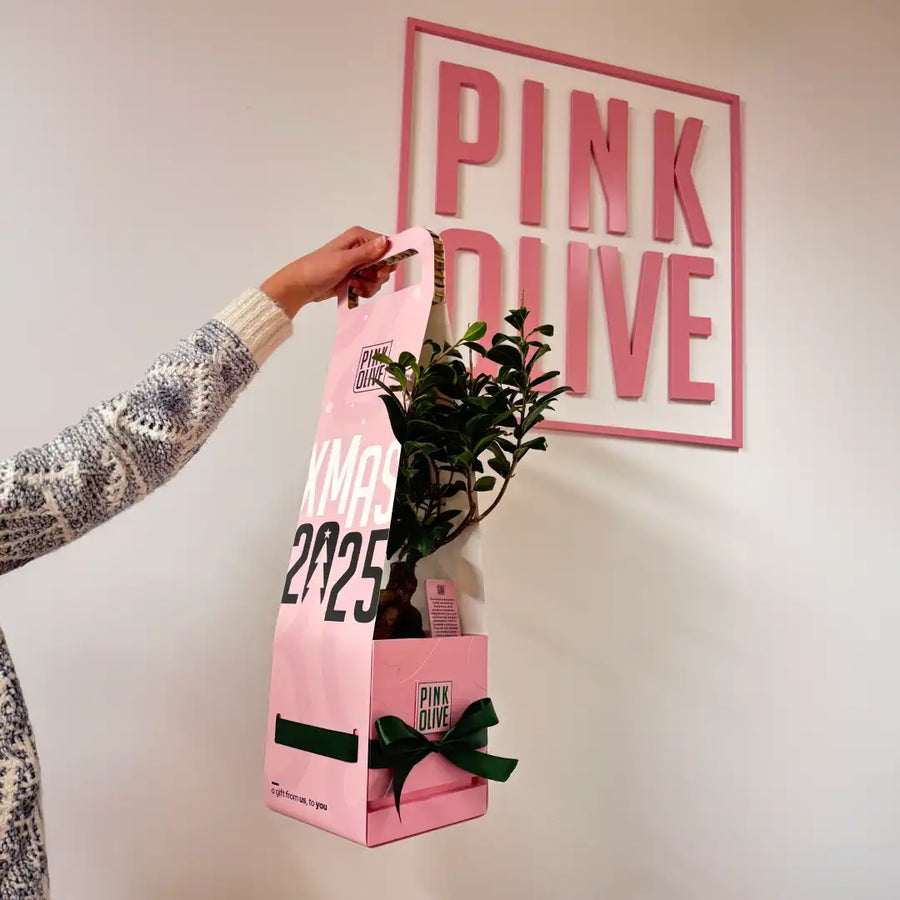 Pink Olive Olive Tree Gifts